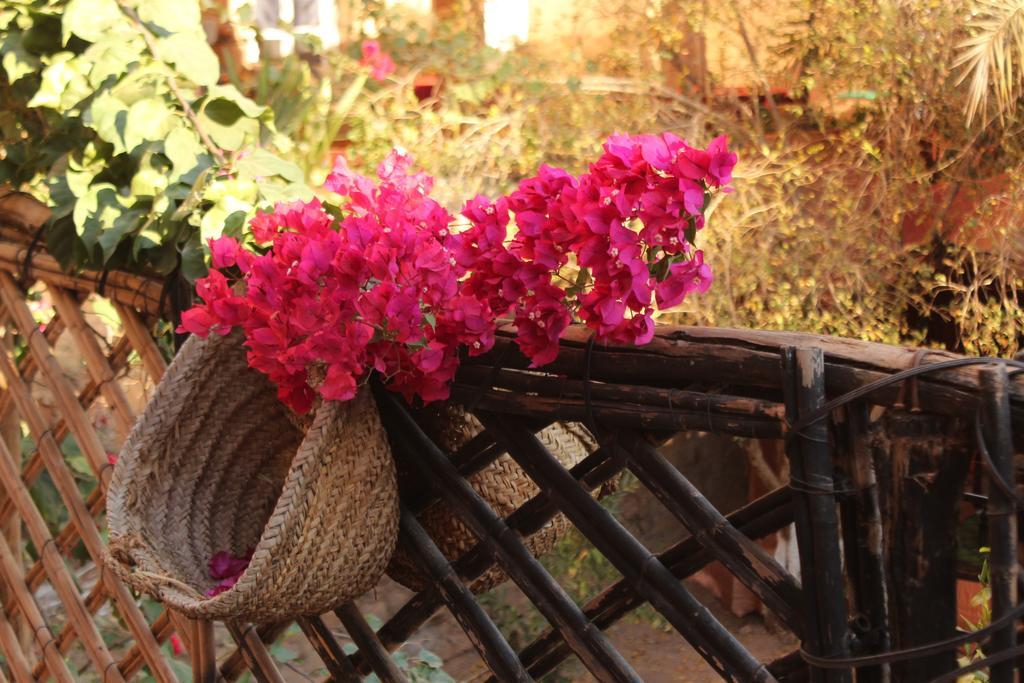 Riad Dar Zaouia Zagora Ngoại thất bức ảnh