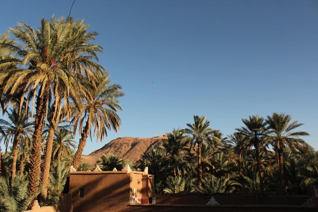Riad Dar Zaouia Zagora Ngoại thất bức ảnh