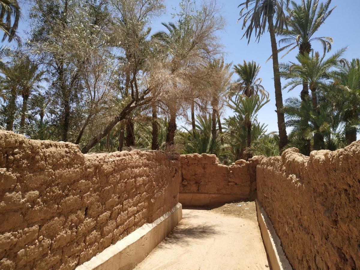 Riad Dar Zaouia Zagora Ngoại thất bức ảnh